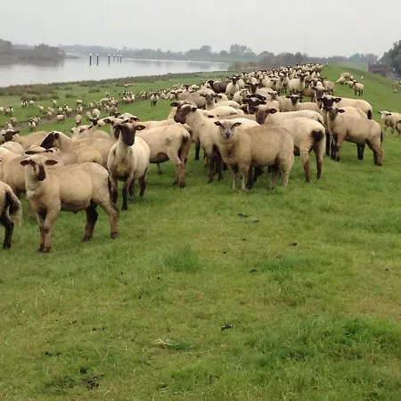 Faehrhaus Mitling Mark 3* Westoverledingen