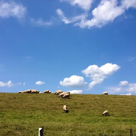 Faehrhaus Mitling Mark Мини-отель