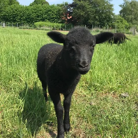 Мини-отель Faehrhaus Mitling Mark 3*