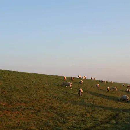 Мини-отель Faehrhaus Mitling Mark Westoverledingen