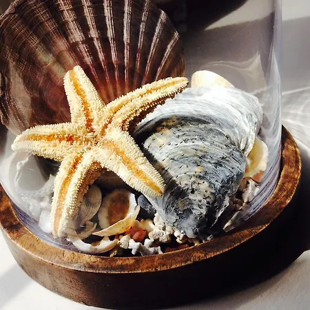 Faehrhaus Mitling Mark Мини-отель