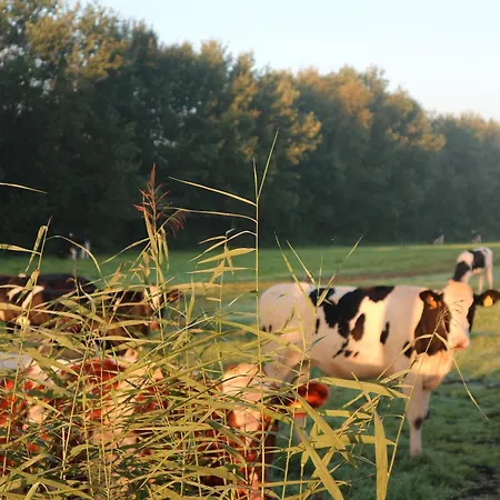 Faehrhaus Mitling Mark